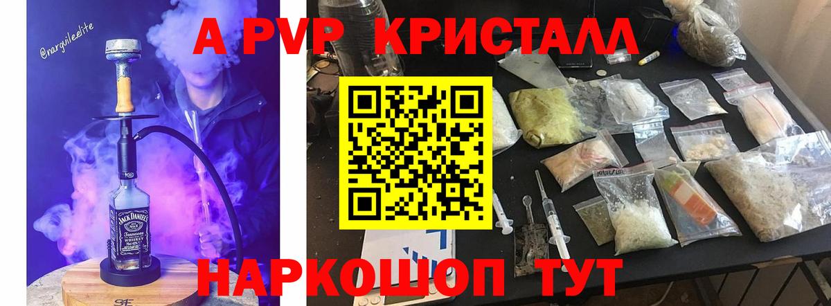 купить  сайты  Alpha PVP СК  Вход с VPN  Баксан  Альфа ПВП 