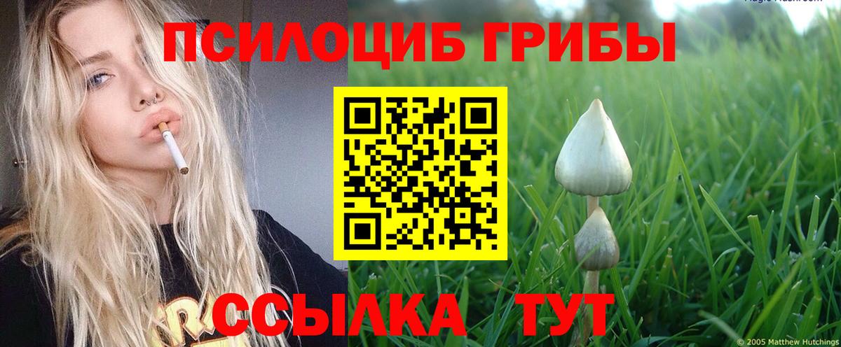Псилоцибиновые грибы MAGIC MUSHROOMS Баксан