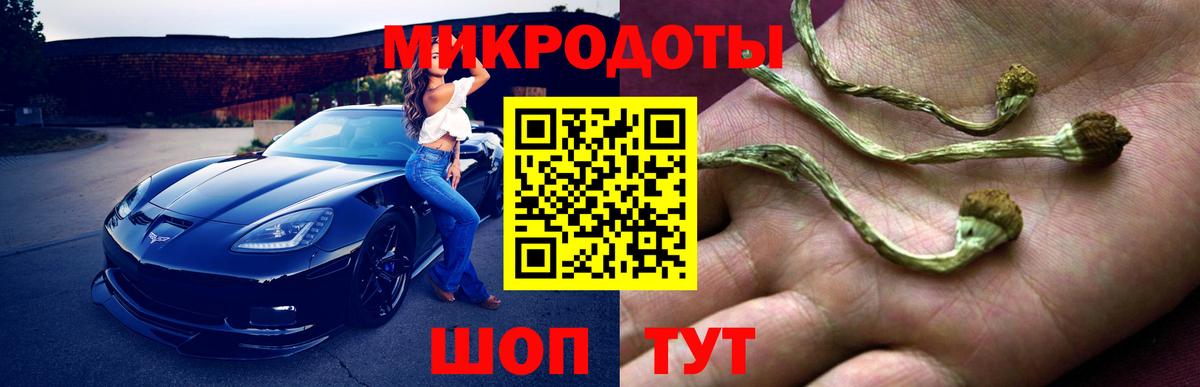 Баксан  Псилоцибиновые грибы Magic Shrooms  Вход с VPN  Псилоцибиновые грибы мицелий 